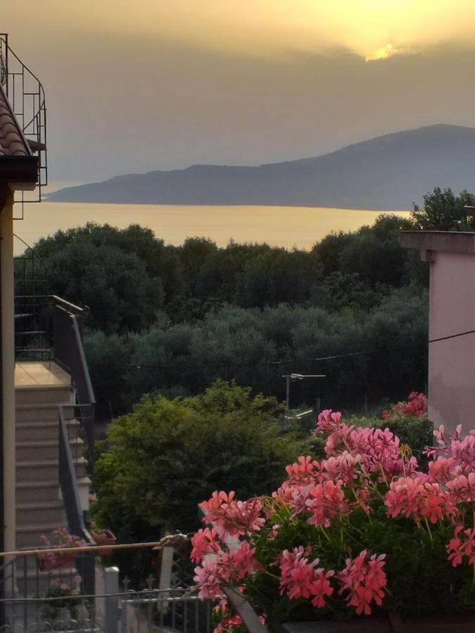 Casa Ester Ascea Dış mekan fotoğraf